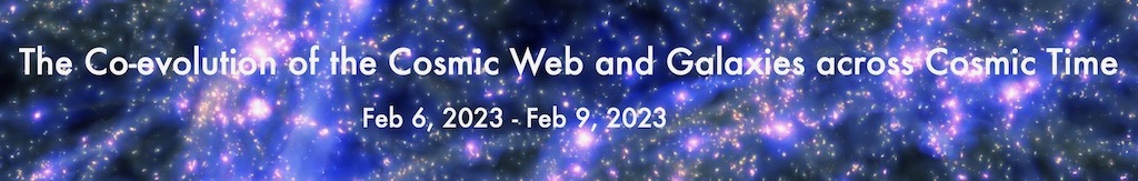 Cosmic Web 23 conference